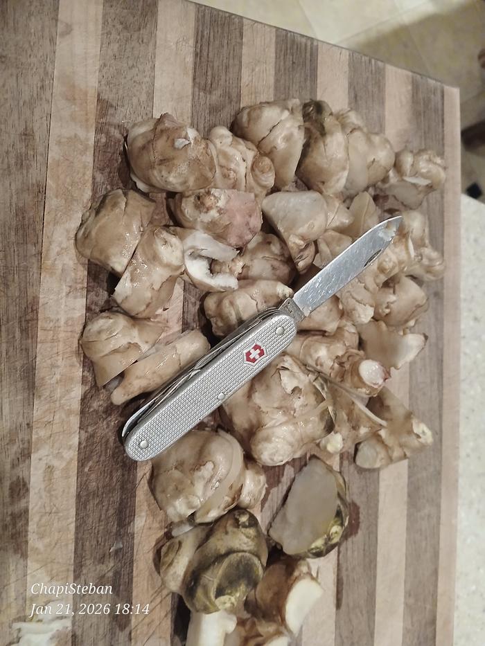 [Thumbnail for 20260121_181446.jpg]