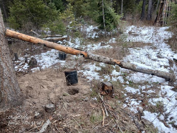 [Thumbnail for 20260122_111034.jpg]