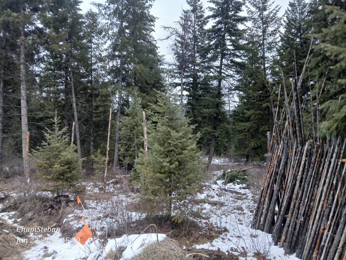 [Thumbnail for 20260122_165023.jpg]