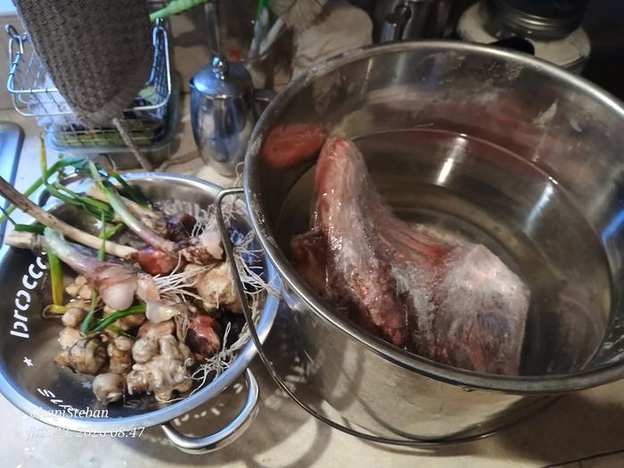 [Thumbnail for 20260123_084742.jpg]