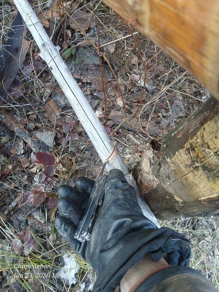 [Thumbnail for 20260123_161148.jpg]