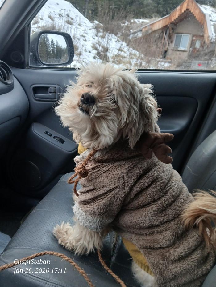 [Thumbnail for 20260126_171112.jpg]