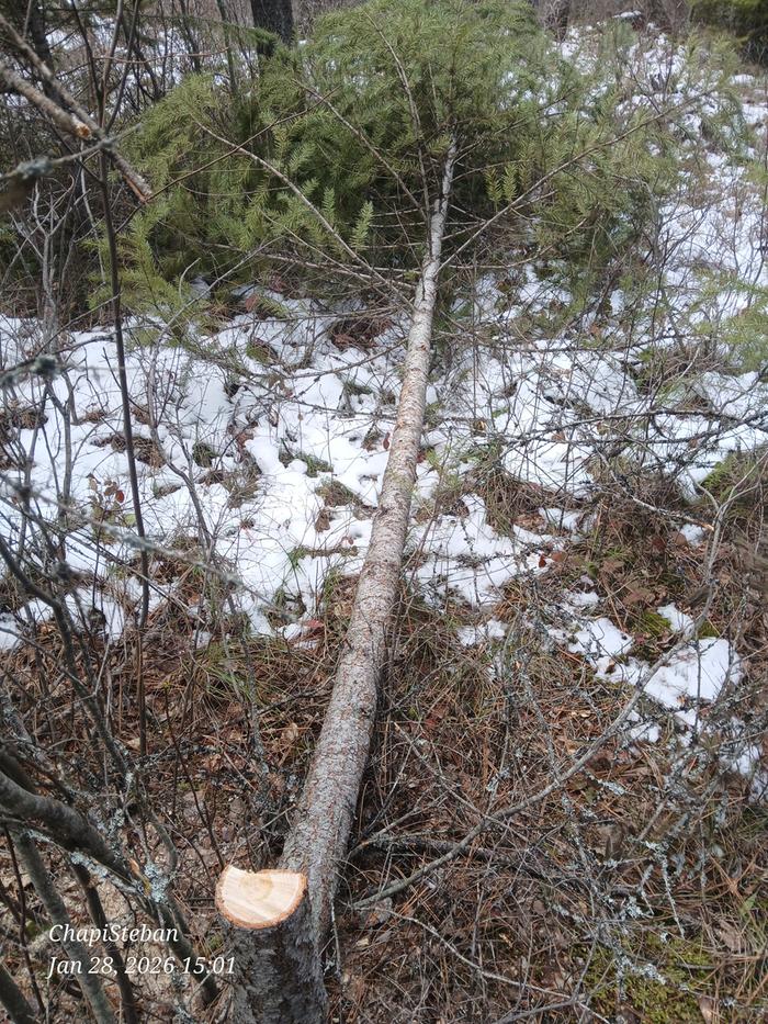 [Thumbnail for 20260128_150115.jpg]