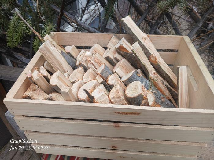 [Thumbnail for 20260129_094921.jpg]