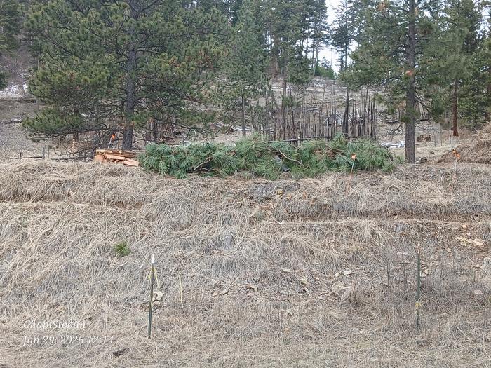 Added some greeny branches 