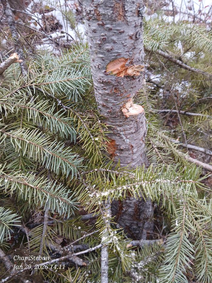 [Thumbnail for 20260129_141127.jpg]