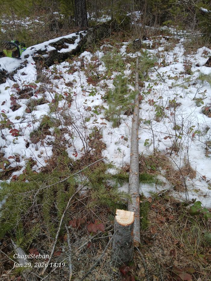 [Thumbnail for 20260129_141924.jpg]