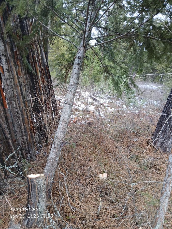 [Thumbnail for 20260130_110032.jpg]