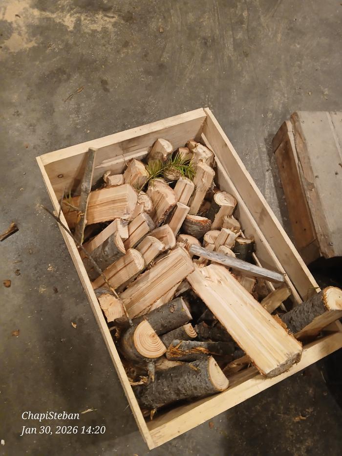 [Thumbnail for 20260130_142005.jpg]