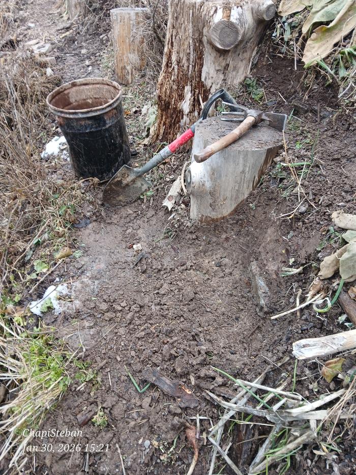 [Thumbnail for 20260130_152109.jpg]