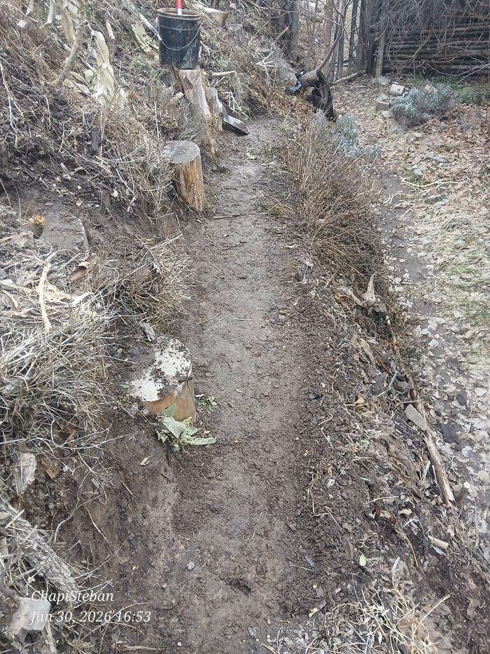 [Thumbnail for 20260130_165355.jpg]