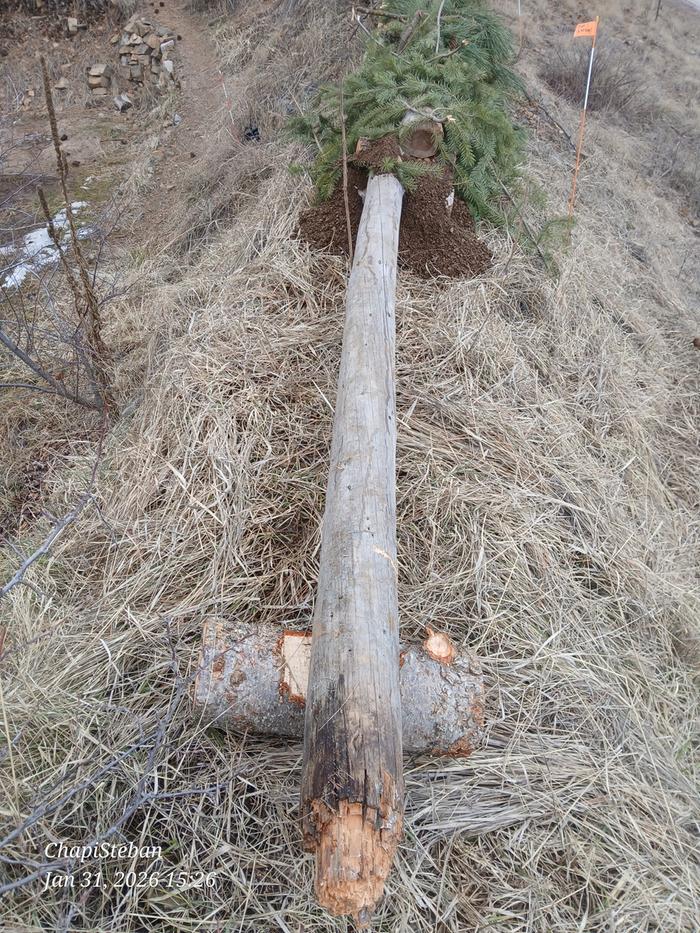 [Thumbnail for 20260131_152634.jpg]