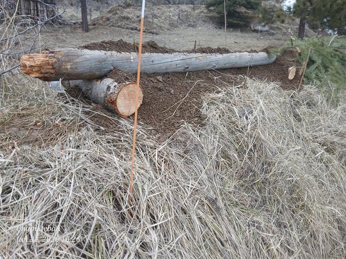 [Thumbnail for 20260131_162635.jpg]