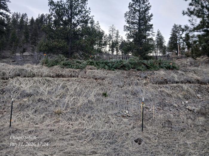 [Thumbnail for 20260131_172446.jpg]