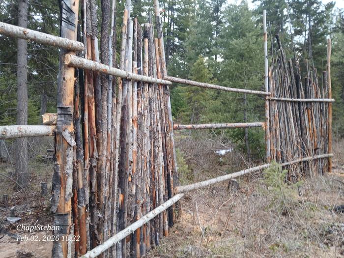 [Thumbnail for 20260202_103213.jpg]