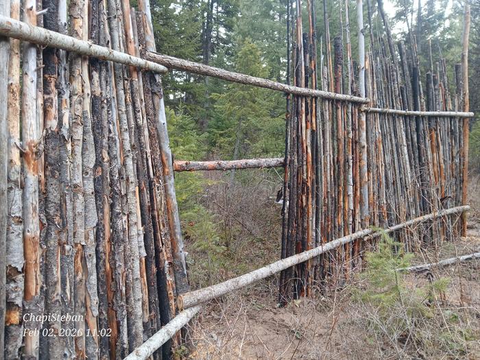 [Thumbnail for 20260202_110235.jpg]