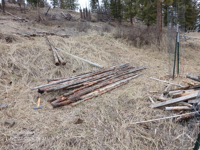 [Thumbnail for 20260202_142157.jpg]