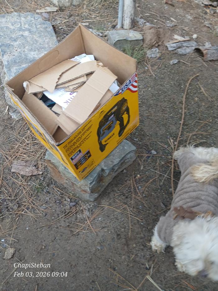 [Thumbnail for 20260203_090429.jpg]