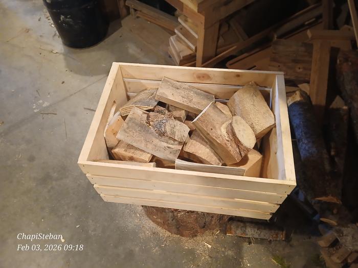 [Thumbnail for 20260203_091815.jpg]