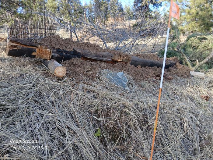 Next step for me is to add some greenies on top ... 