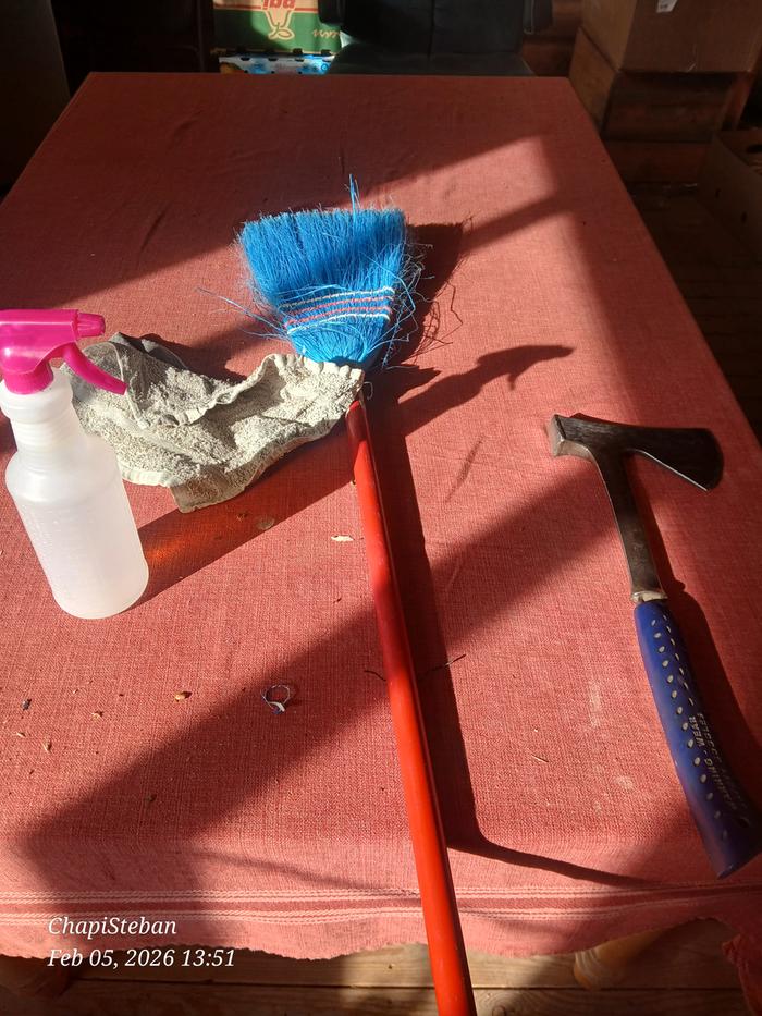 Some tidying up at Cooper cabin is in order ...