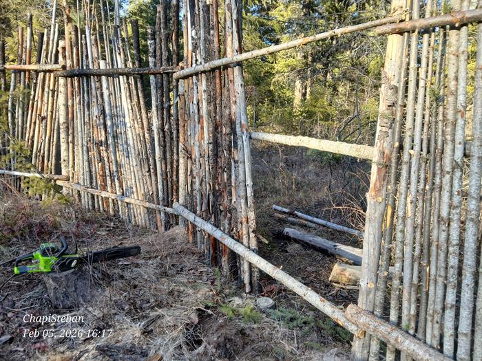 [Thumbnail for 20260205_161744.jpg]