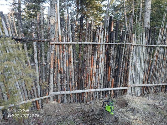 [Thumbnail for 20260205_163602.jpg]