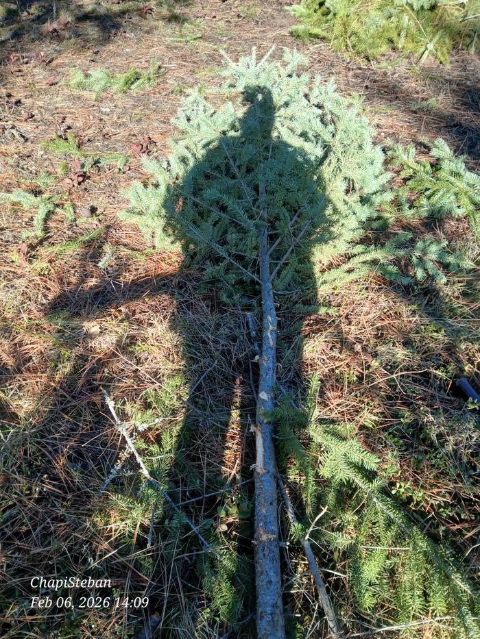 [Thumbnail for 20260206_140928.jpg]