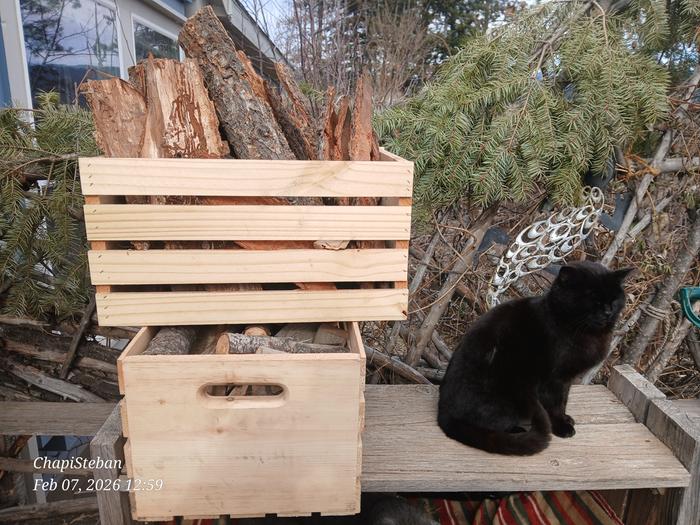 [Thumbnail for 20260207_125911.jpg]