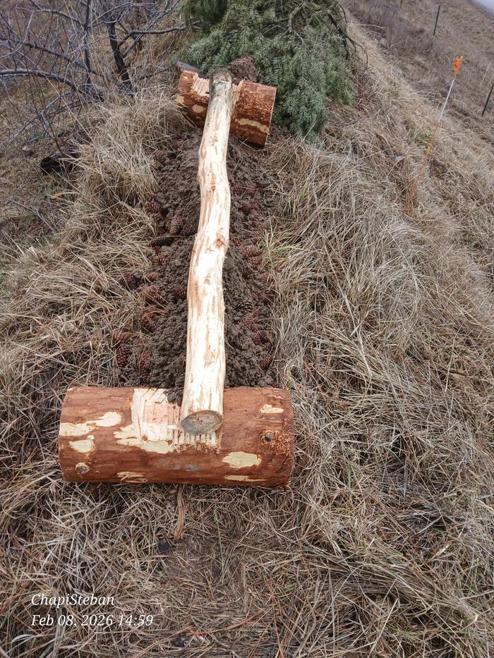 Soil was added to the top of this before adding some nice greeny bits 