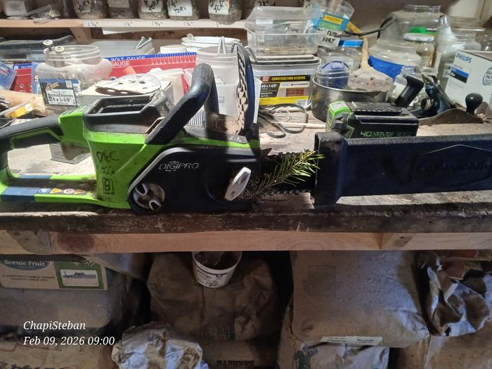 [Thumbnail for 20260209_090053.jpg]