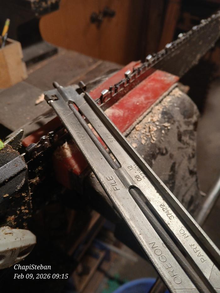 [Thumbnail for 20260209_091522.jpg]