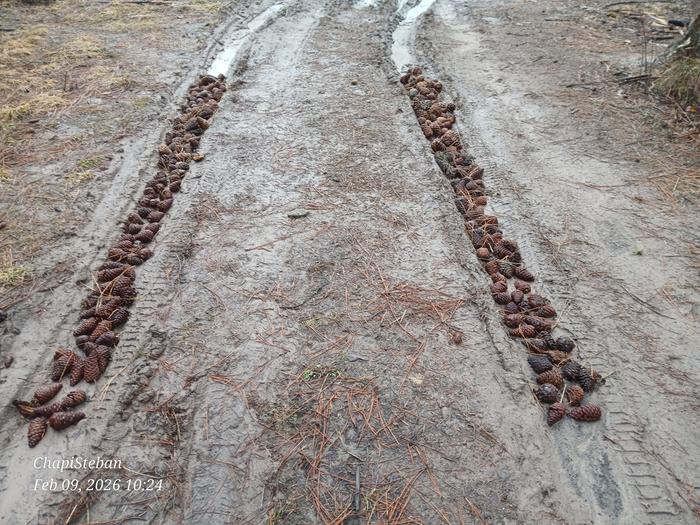 [Thumbnail for 20260209_102401.jpg]