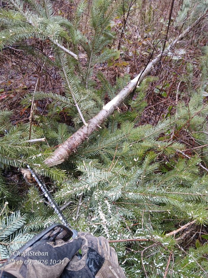 [Thumbnail for 20260209_103138.jpg]