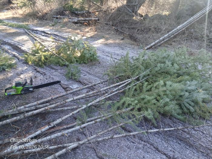 Junkpoles laying on a dirt road