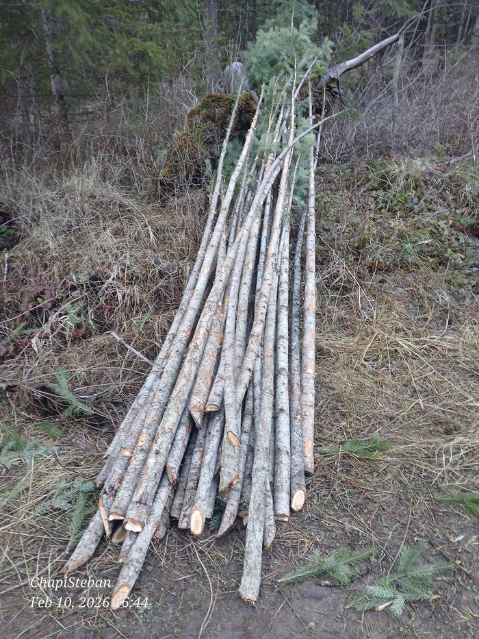 The 40 junkpoles ... 