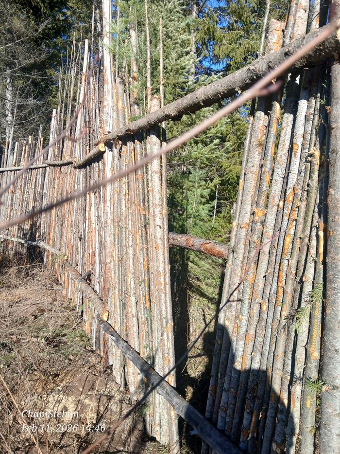 [Thumbnail for 20260211_144636.jpg]