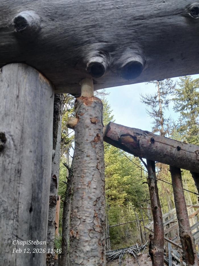 [Thumbnail for 20260212_114659.jpg]