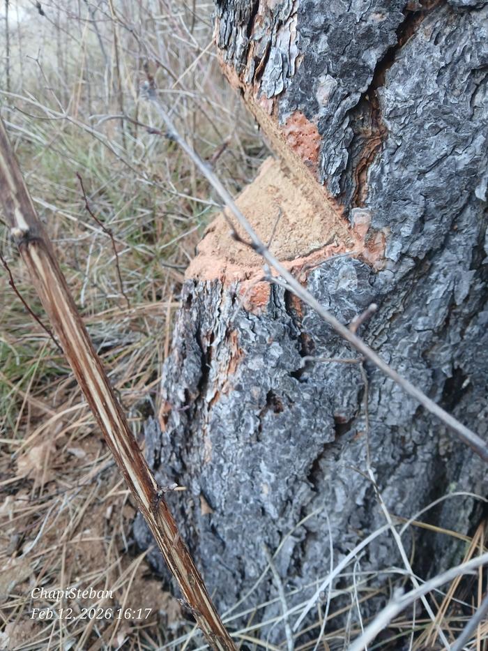 [Thumbnail for 20260212_161728.jpg]