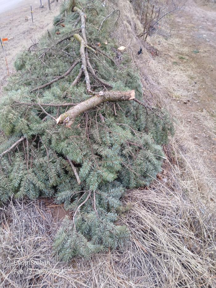 Greeny bits to make it boring 