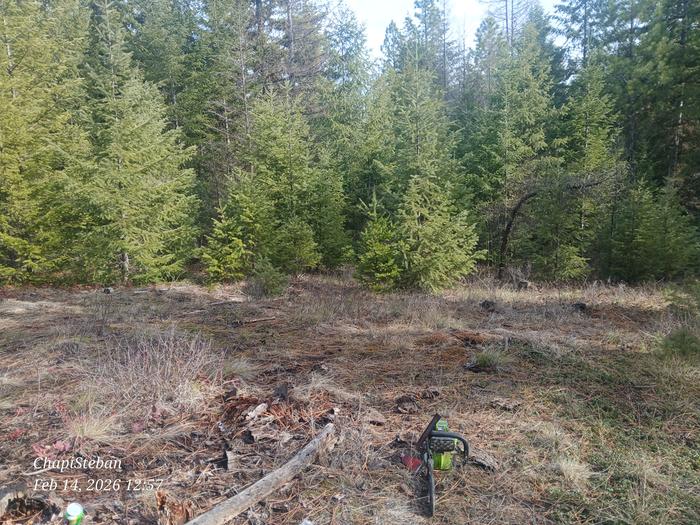 Time to harvest more junkpoles 