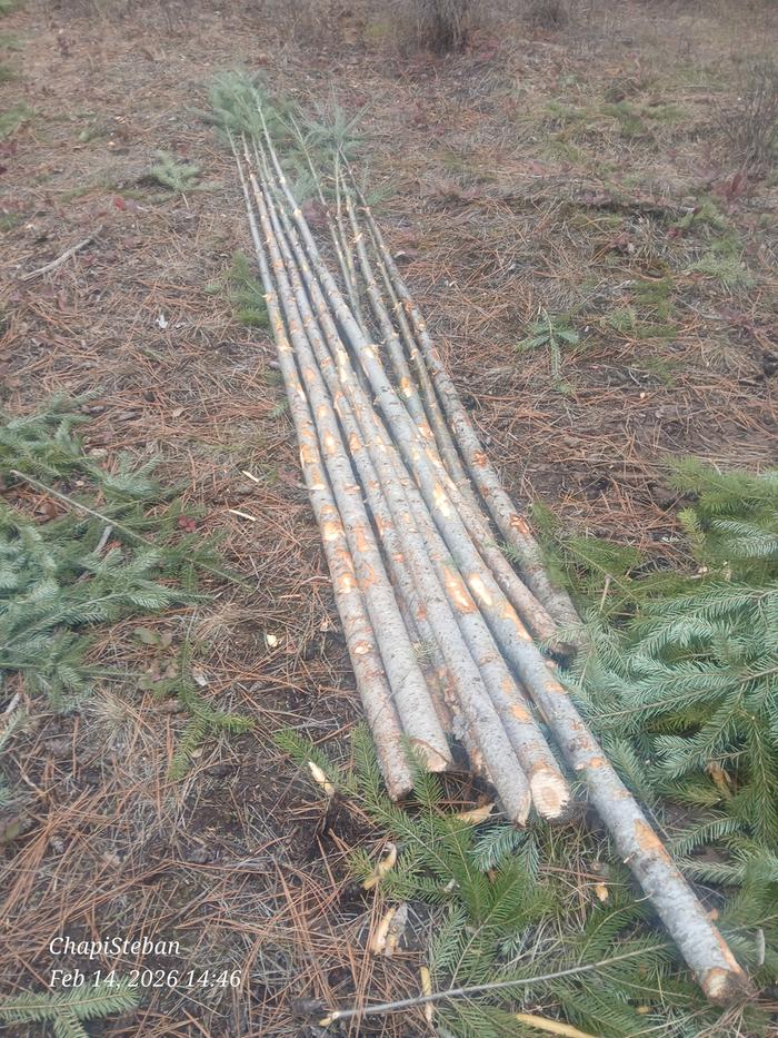 [Thumbnail for 20260214_144606.jpg]