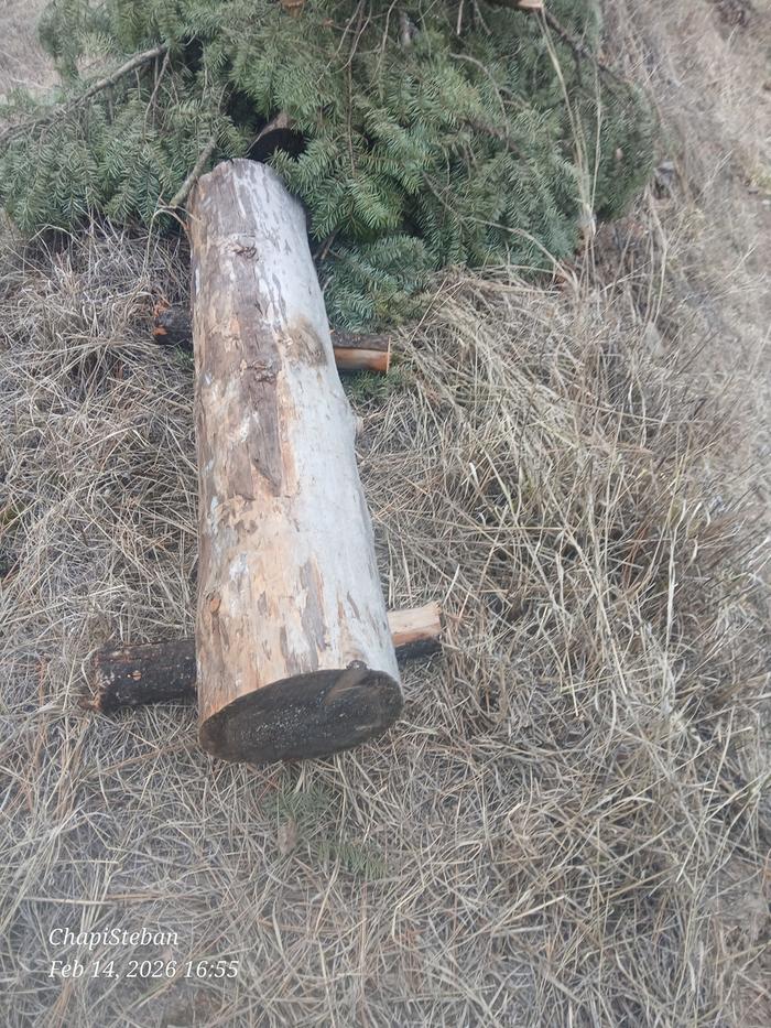 [Thumbnail for 20260214_165518.jpg]