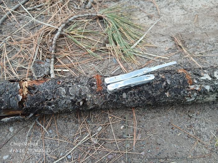 Marking the log supports 