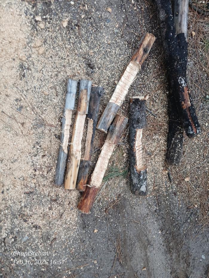 Six pieces all notched 