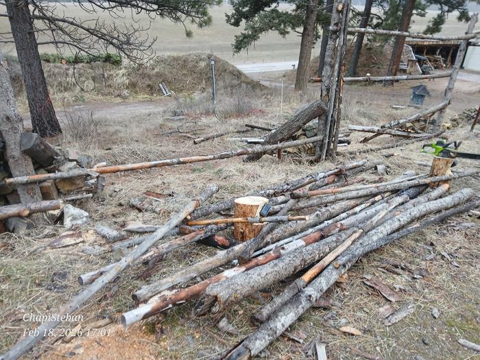 [Thumbnail for 20260218_170110.jpg]