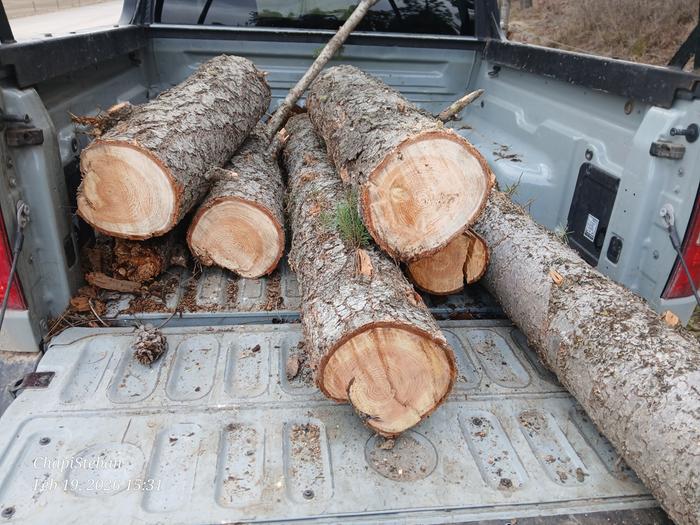 Loaded all but two logs 