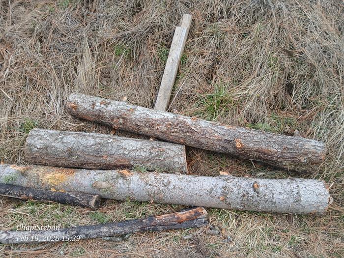 Staged by turtle berm 