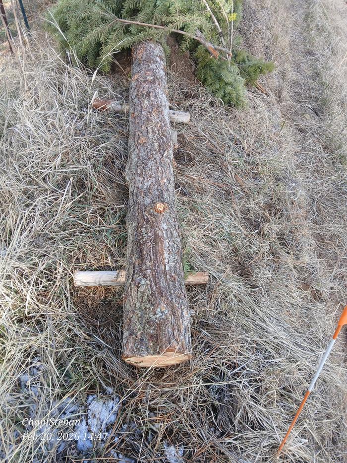 [Thumbnail for 20260220_144727.jpg]