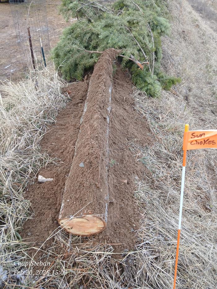 [Thumbnail for 20260220_150931.jpg]